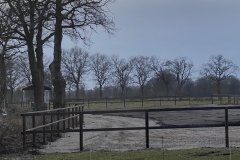 543C8477-1B02-44CF-9698-46E256C58EC2 543C8477-1B02-44CF-9698-46E256C58EC2